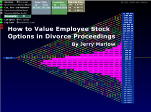 Assignment: Teach CPAs and divorce financial planners how to value stock options in divorce proceedings